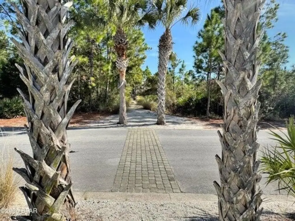 Picture 15