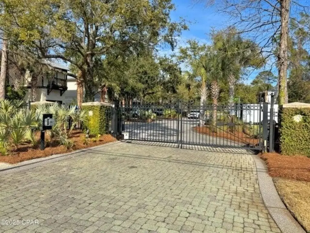 Picture 5