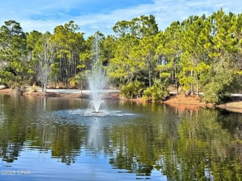 Picture 21