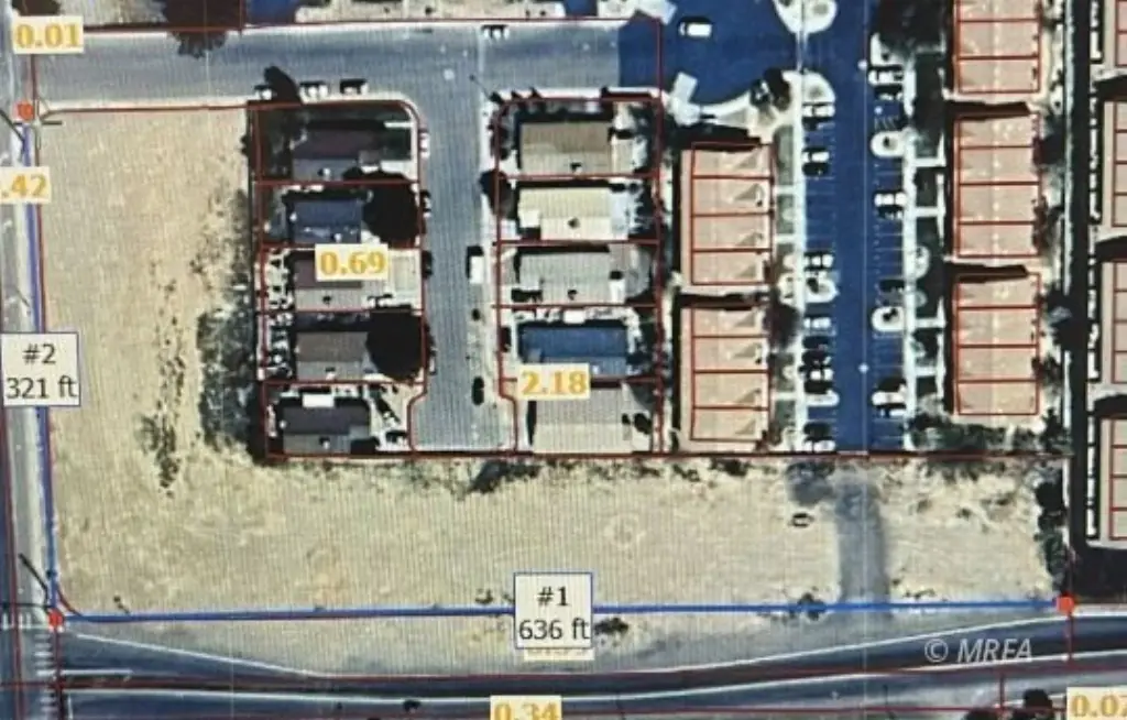 Picture 5