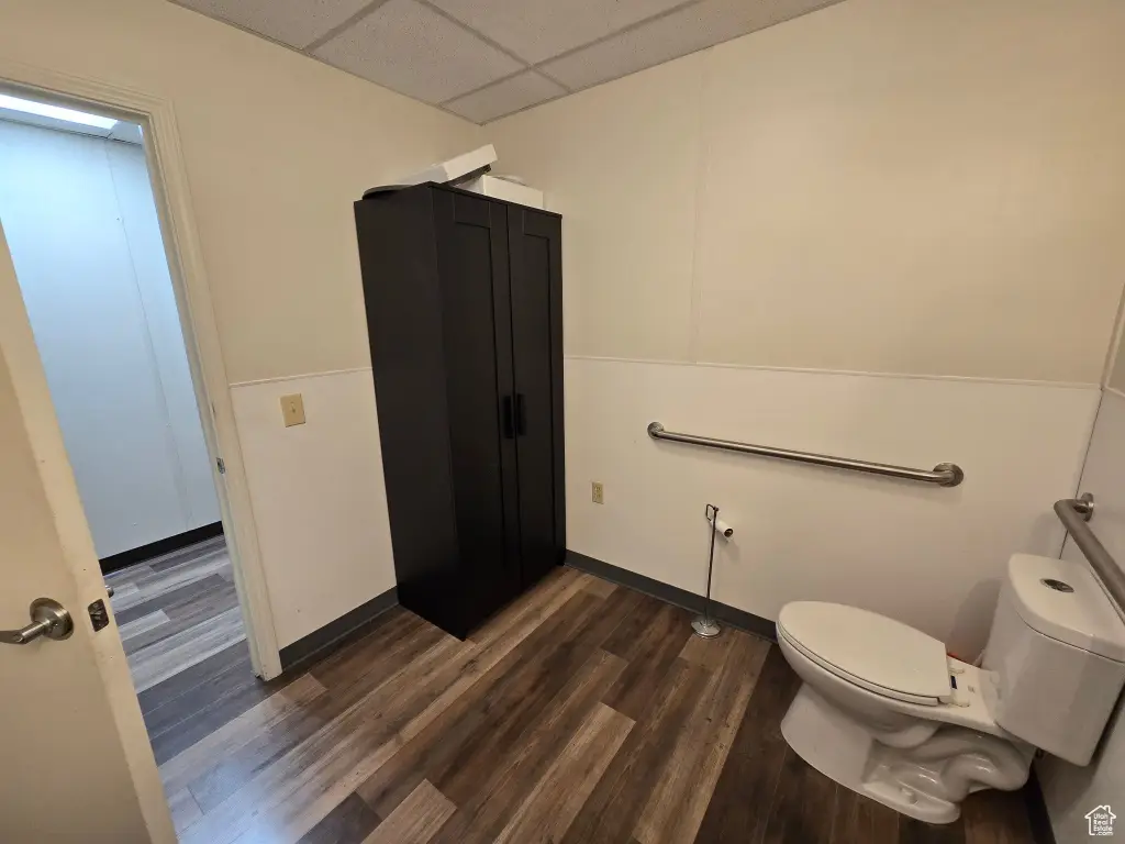 Picture 14