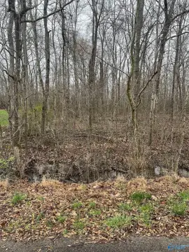 Residential Land in Toney, AL