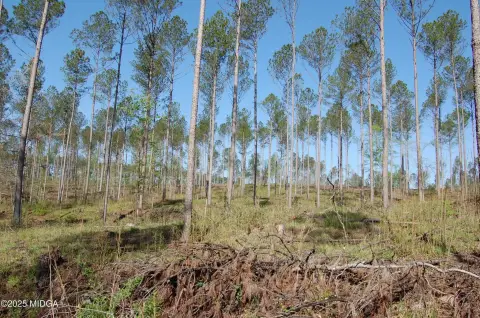 Forsyth, GA Unimproved Land