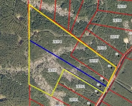 67 Acres Wooded Land in Texas