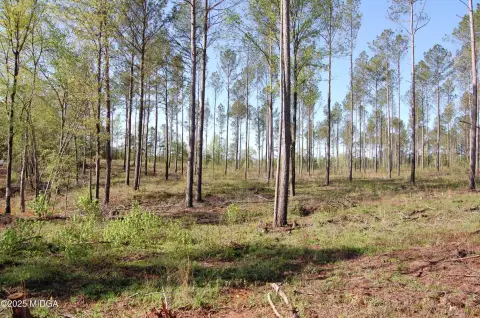 Forsyth, GA Unimproved Land Tract