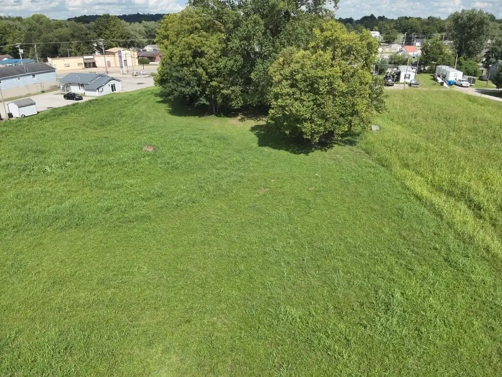 Picture 6