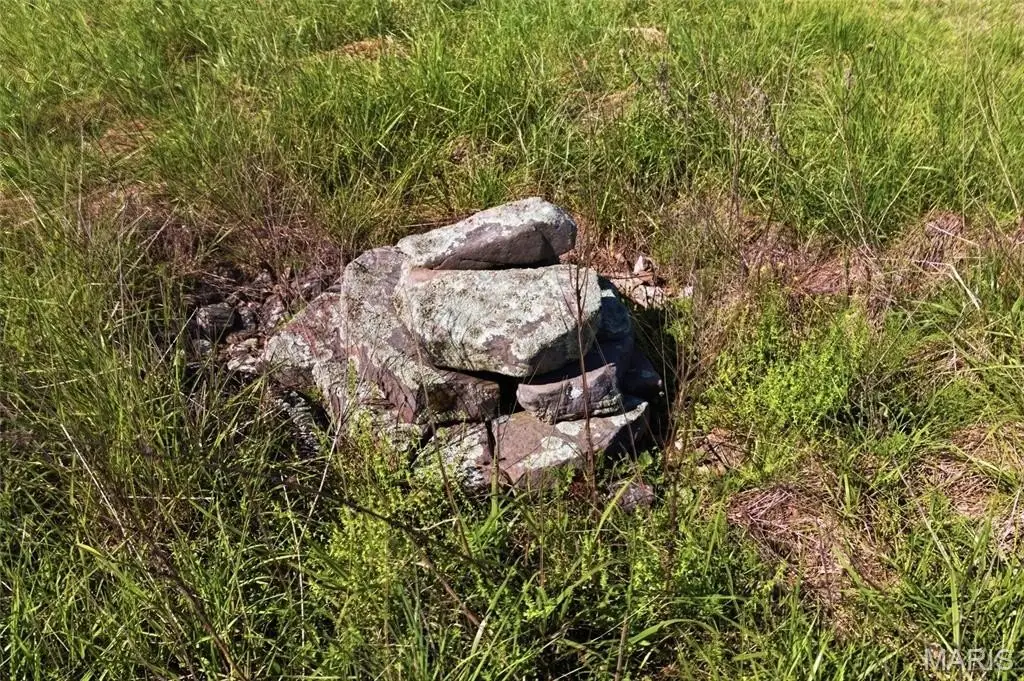Picture 54