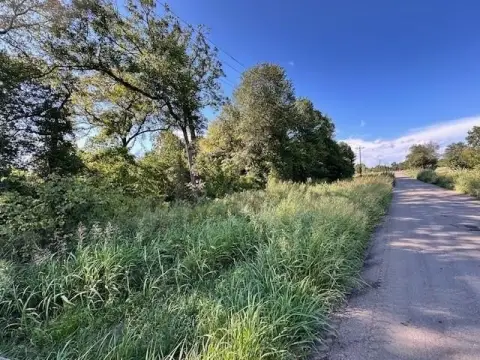 Wooded Land in Celeste, Texas