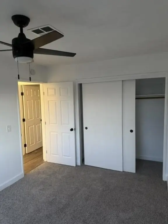 Picture 31