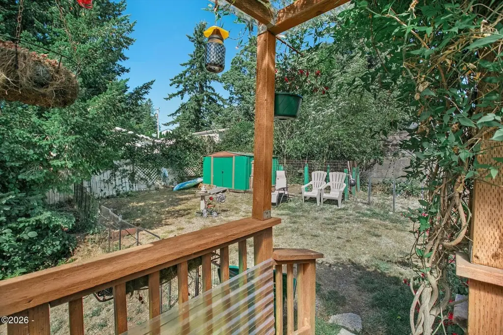Picture 14
