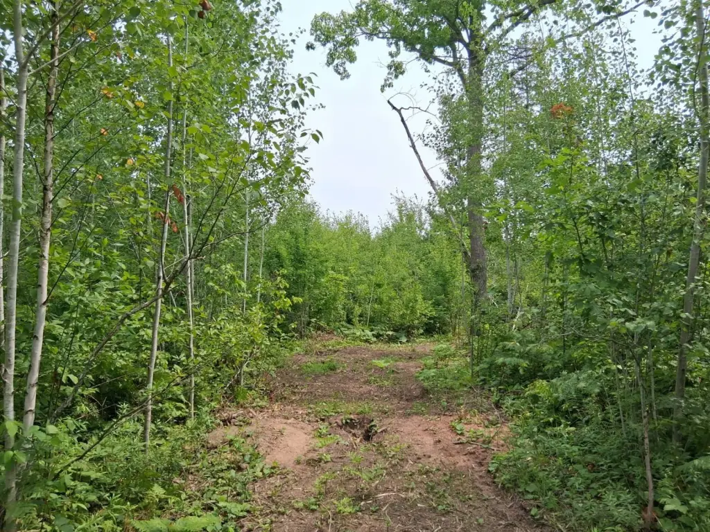 Picture 11