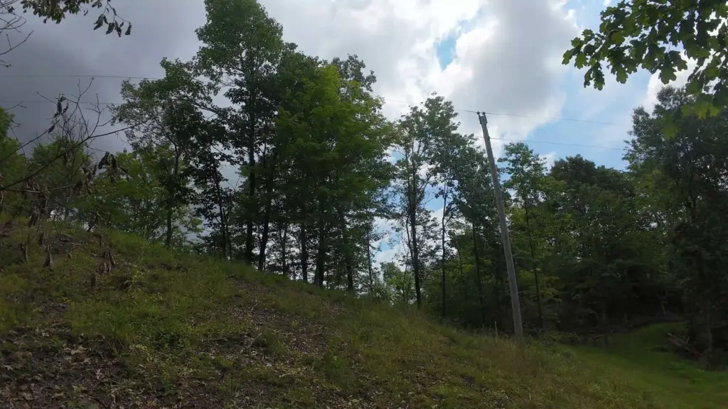 Picture 4