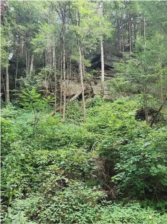 Picture 10