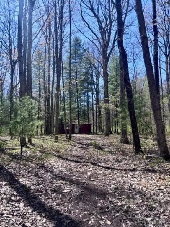 Picture 4