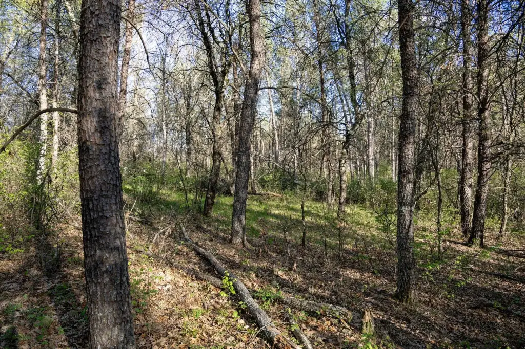 Picture 30