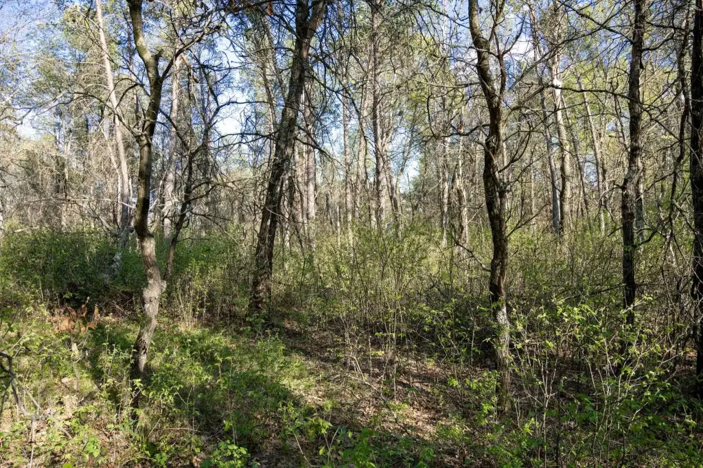 Picture 23