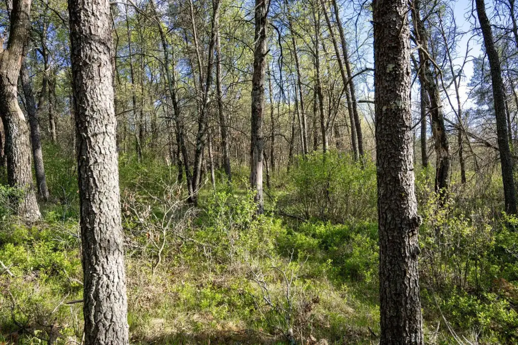 Picture 18