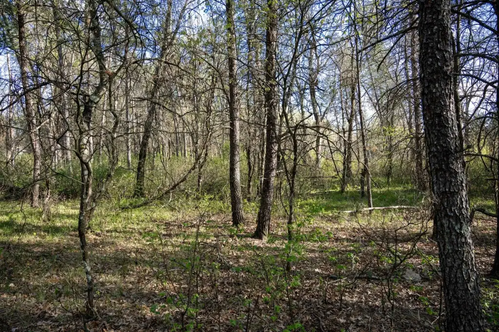 Picture 25