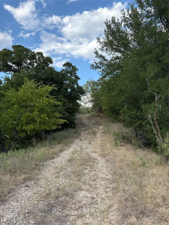 Picture 21