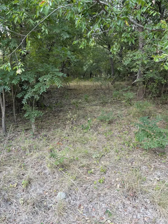 Picture 32