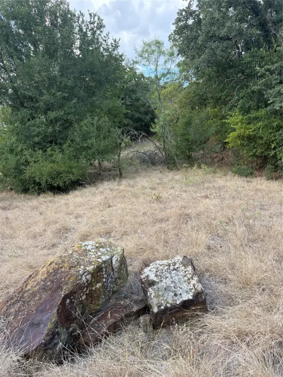 Picture 38