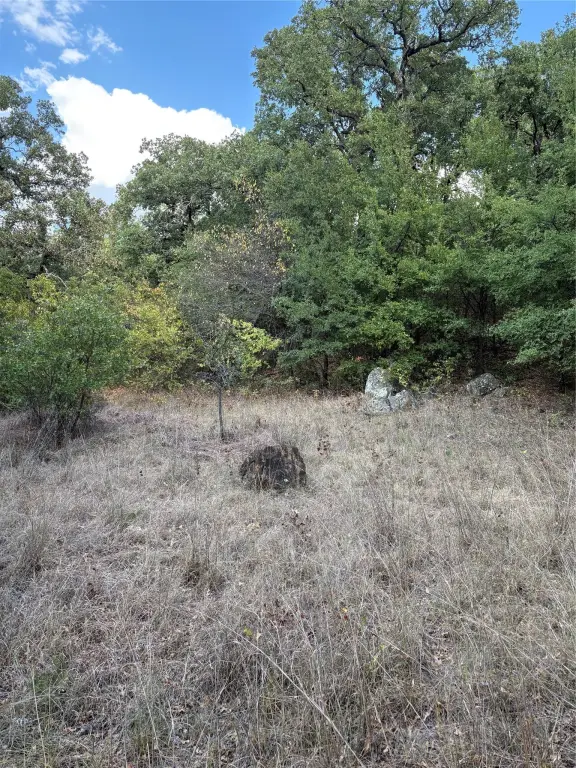 Picture 30