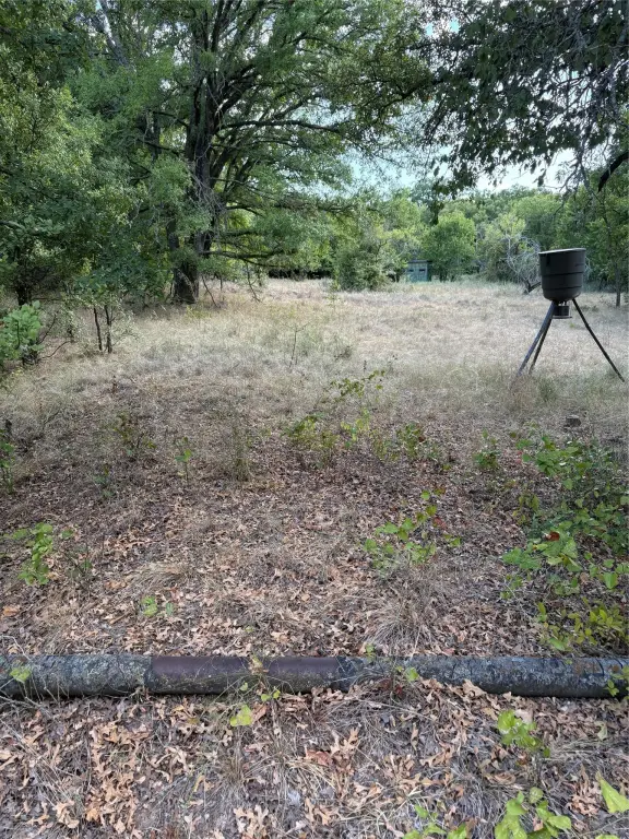 Picture 33