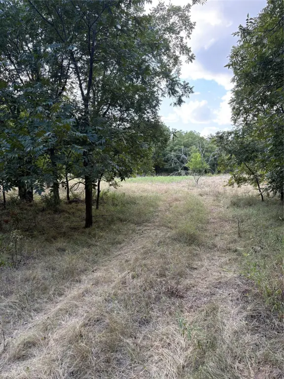 Picture 37