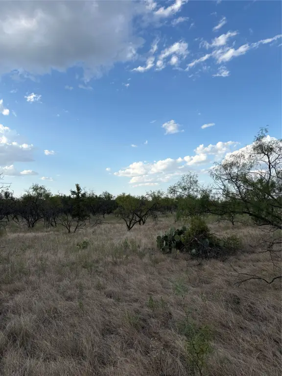 Picture 16