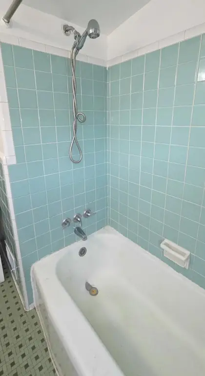 Picture 18
