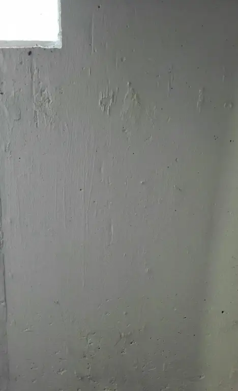 Picture 26