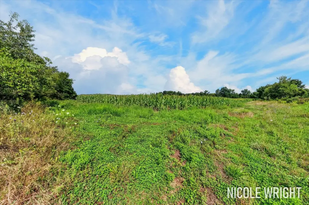 Picture 9
