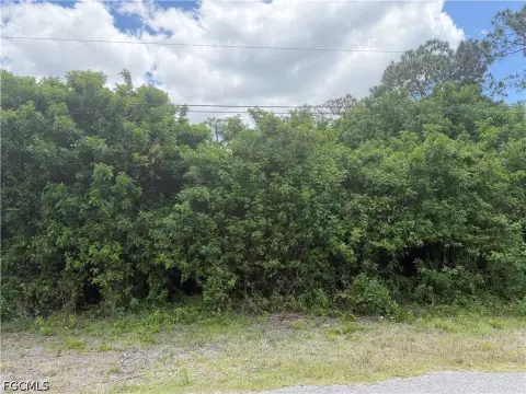 Lehigh Acres Half Acre Lot