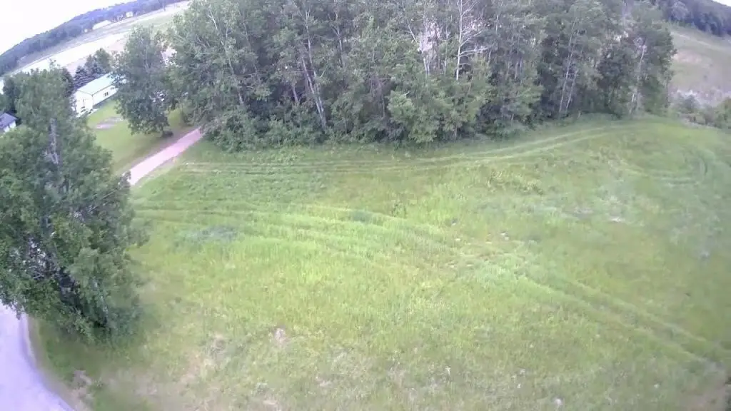 Picture 7