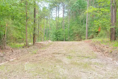 Cleared Land Near Lake Sam