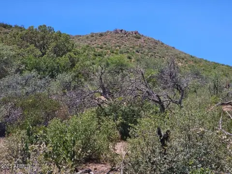 Off-Grid Land with Mountain Views