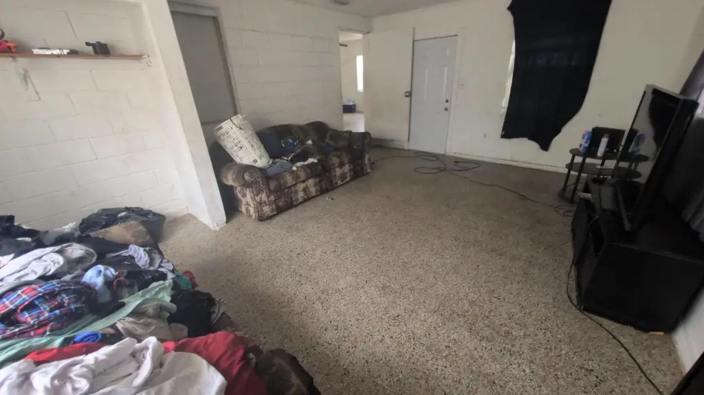 Picture 6