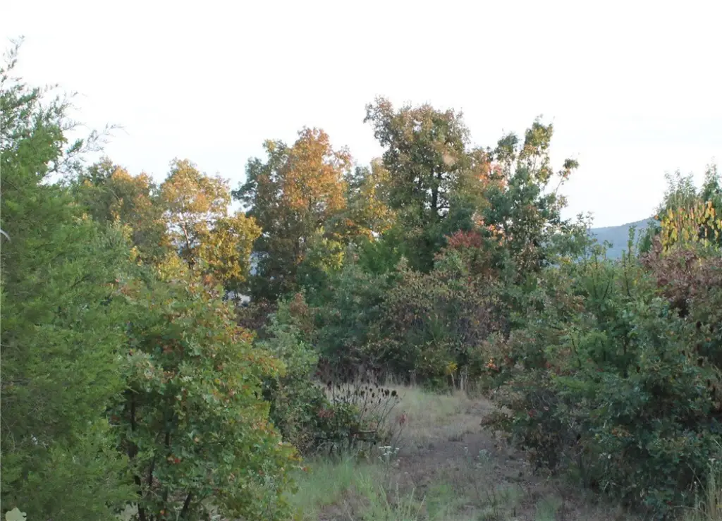 Picture 12