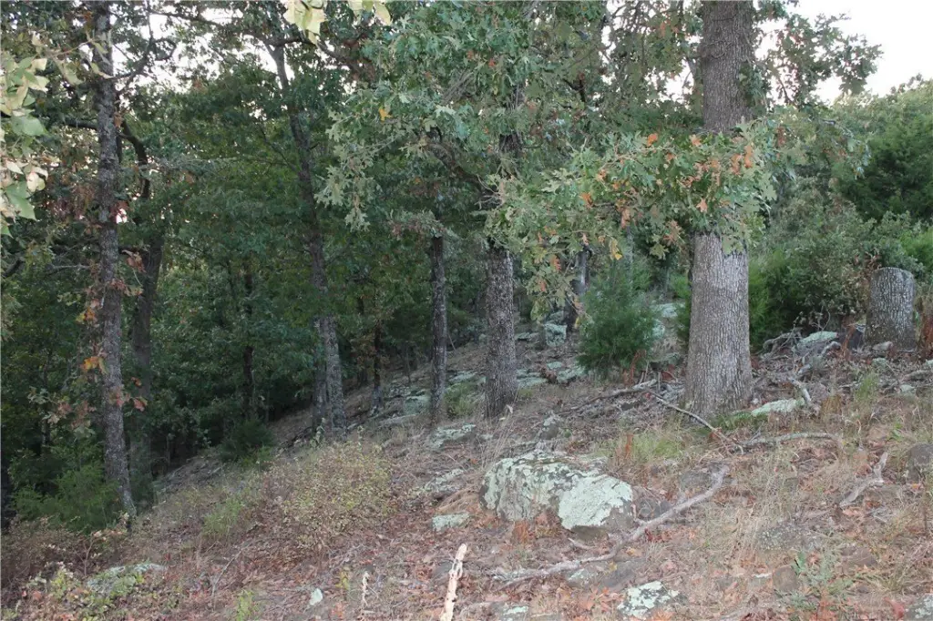 Picture 21