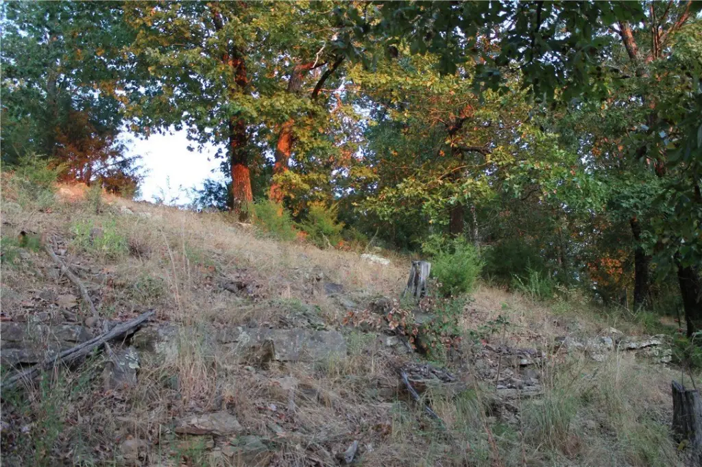 Picture 18