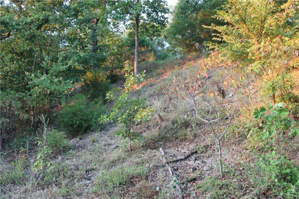 Picture 15