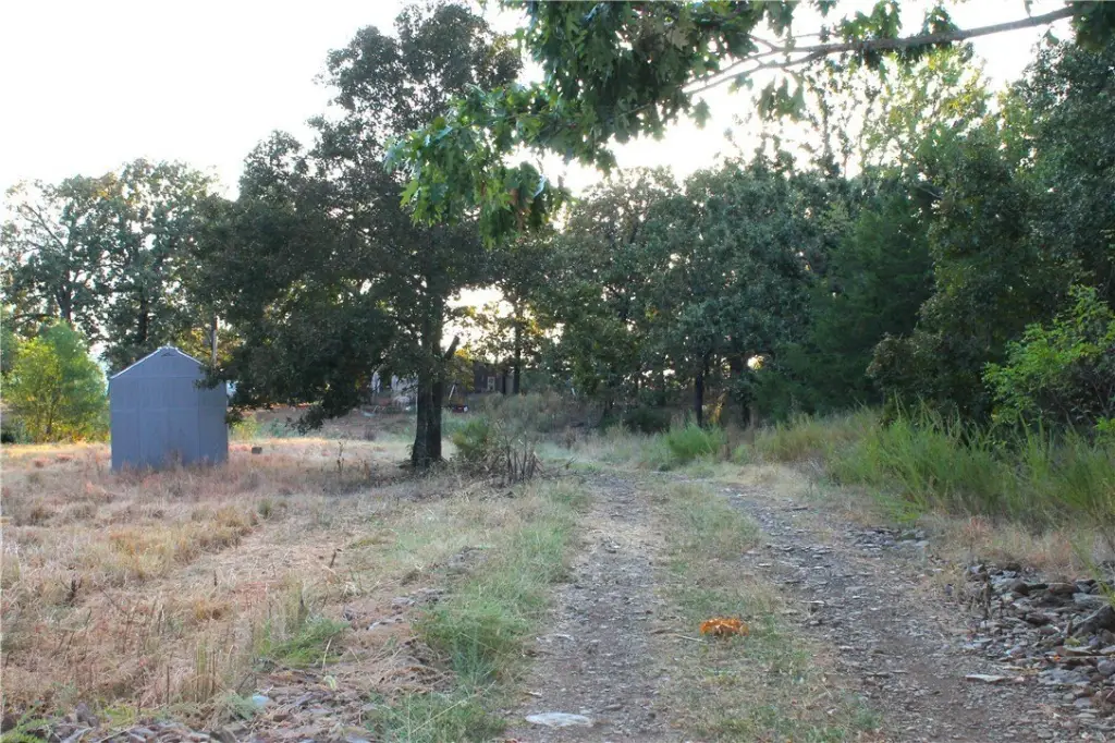 Picture 7