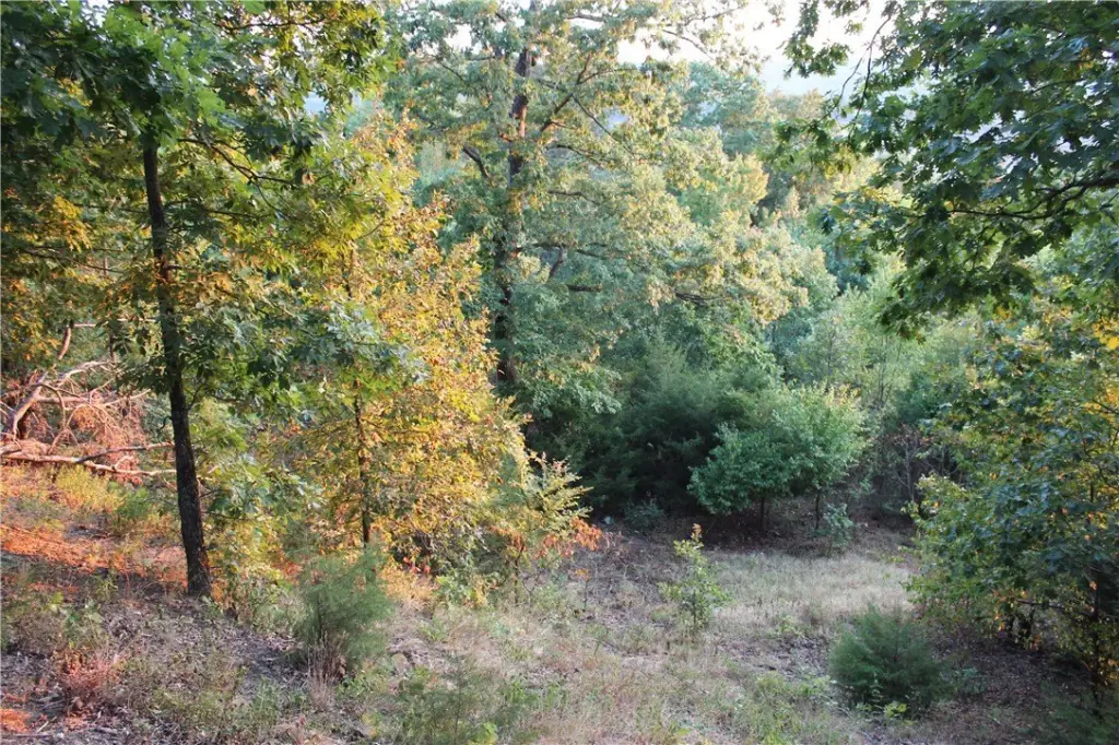 Picture 17