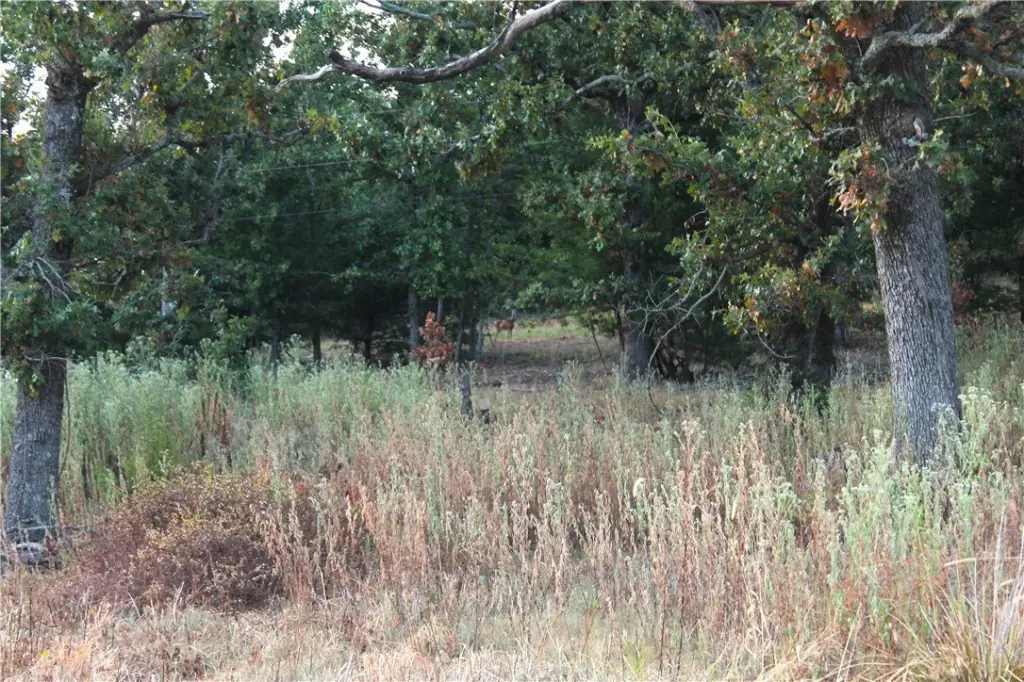 Picture 22