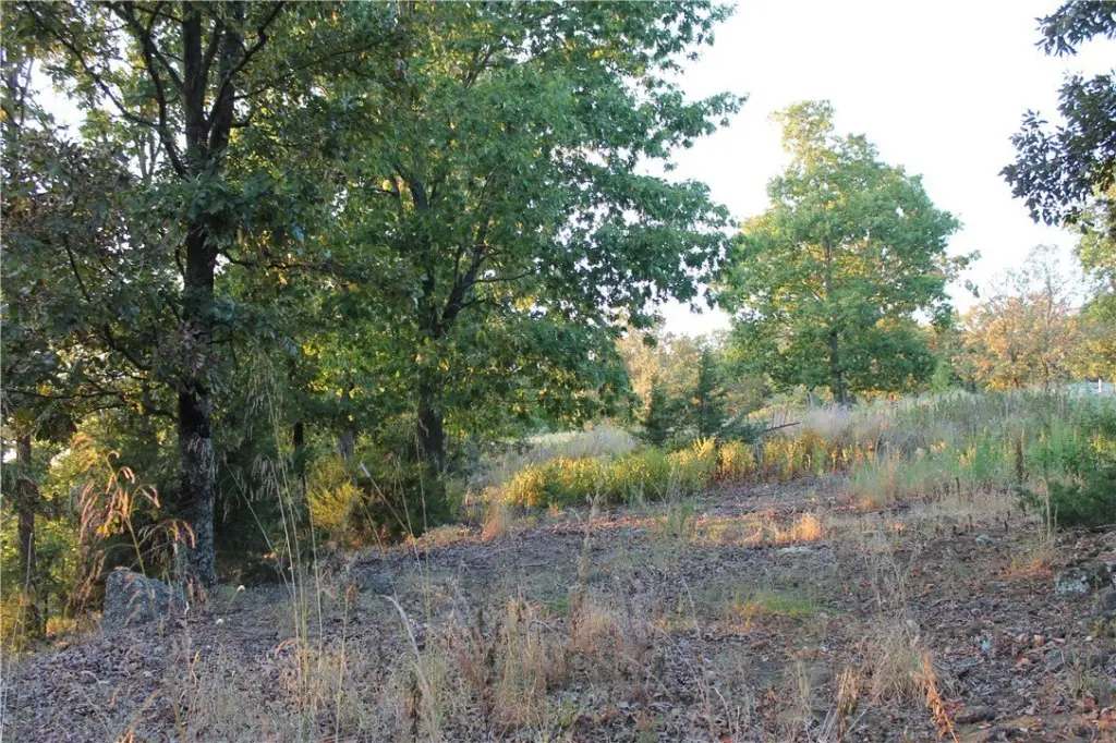 Picture 10