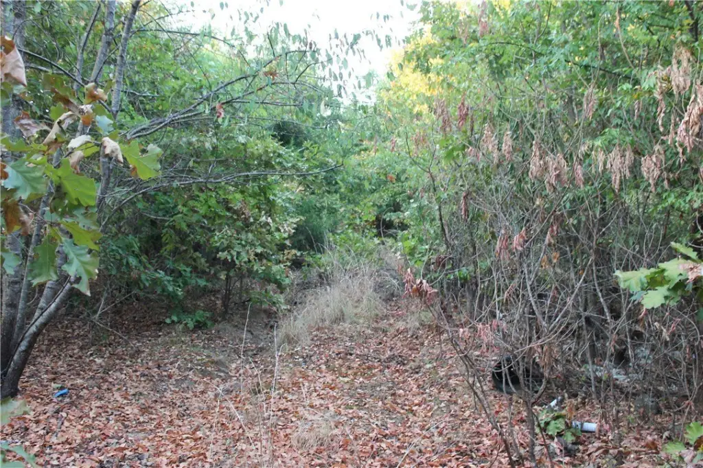 Picture 13