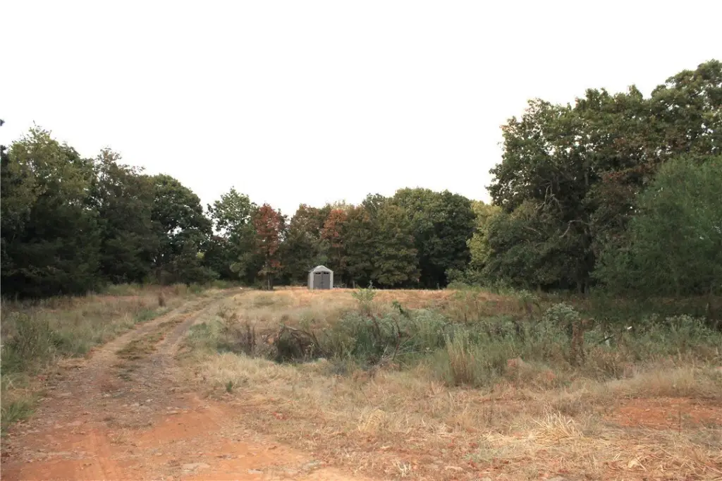 Picture 23