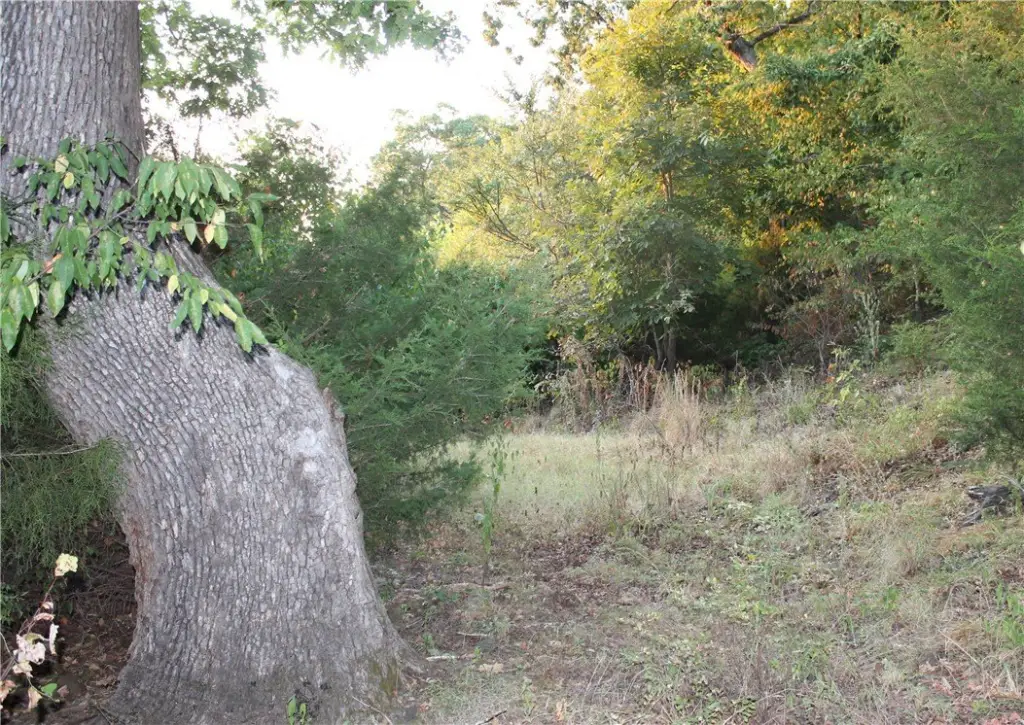 Picture 14