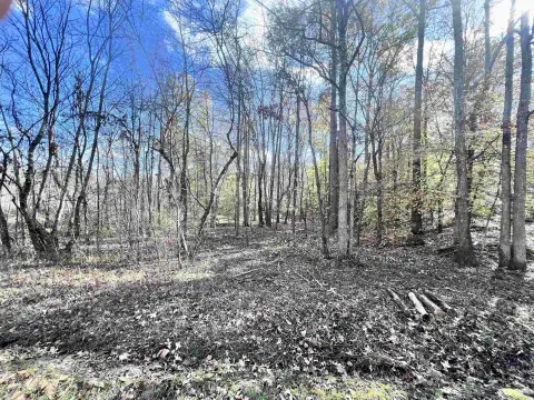 Wooded Land with Creek Frontage