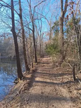 13.2 Acres Wooded Land